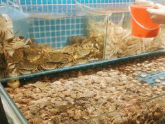 -港畔赶海蒸汽海鲜烧烤自助(仙螺岛店)