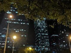 -中央广播电视总台(光华路办公区)