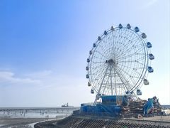 -碧海金沙