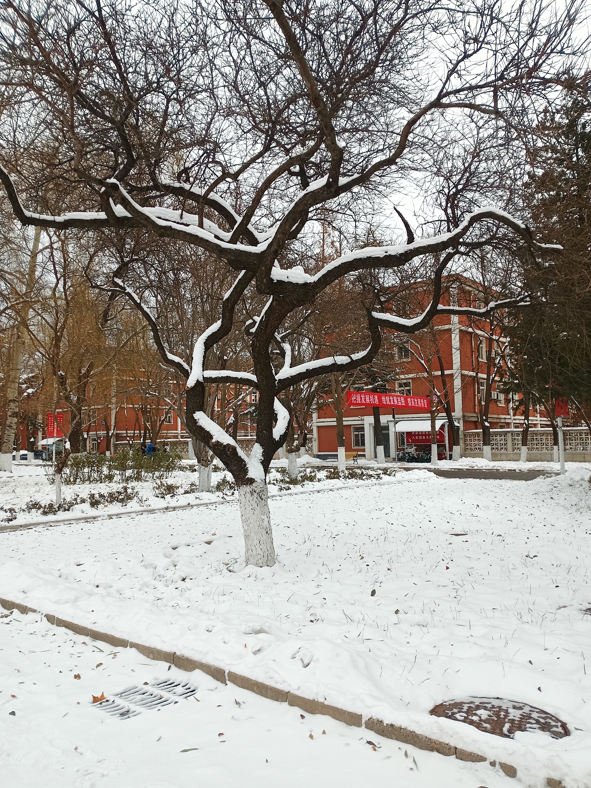 承德医学院雪景图片