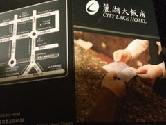 -丽湖大饭店