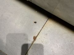 -火锅岛潮牌自助餐厅(天津天佑城店)