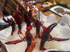 -尚海豆捞(乐虹坊店)