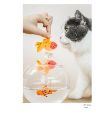 -ZOO KIDS象集摄影工作室(西城公馆店)