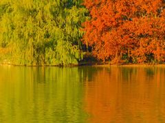 -上海海湾国家森林公园