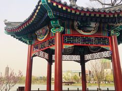 -西海子公园