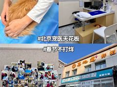 -美联众合爱康动物医院•复杂内科•肿瘤科•牙科•腔镜诊疗中心