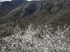 -妙峰山风景名胜区