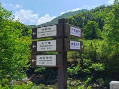 -石台牯牛降景区