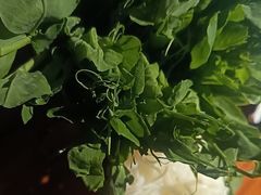 -云尊府云南菜·蒸汽石锅鱼(学清路店)