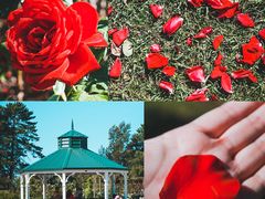 -威勒比开放式动物园