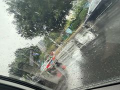 -金鸡山公园