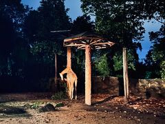 -清迈夜间动物园