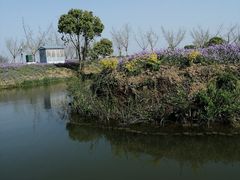 -下渚湖国家湿地公园科普馆