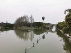 -江心屿景区