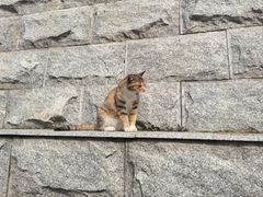 -宝通禅寺