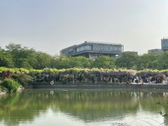 -嘉定紫藤园