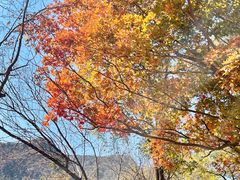 -阳台山自然风景区