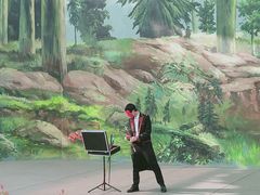 -美的鹭湖探索王国