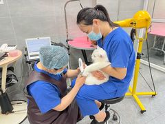 -宠福鑫康馨动物医院·骨科·眼科