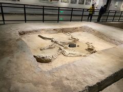 -洛阳周王城天子驾六博物馆