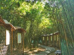 -同里国家湿地公园