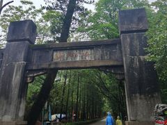 -鼎湖山风景区