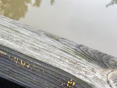 -白鹭湾湿地公园