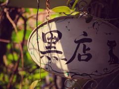 -小洲村