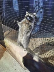 -酷嗒动物文化乐园(cutezoo西溪乐天城店)