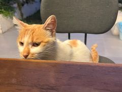 -惠丰源烩面馆(经七路店)