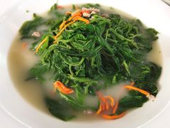 -大树头森林餐厅(番禺广场店)