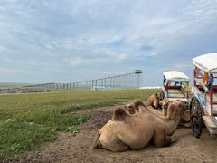 -呼和诺尔旅游景区