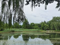 -北坞公园
