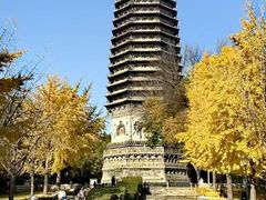 -玲珑塔公园