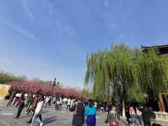 -西安青龙寺遗址景区