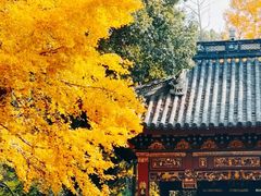 -汇龙潭