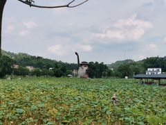 -红山村