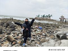 -养马岛旅游度假区