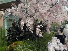 -泰尚臻Siam Essence