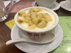 莲子双皮奶（冻）-南信牛奶甜品专家