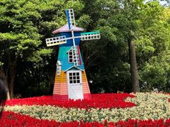 -上海共青森林公园