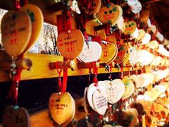 iphone_upload_pic-石岛赤山风景区