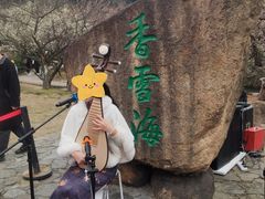 -香雪海