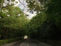 -水濂山森林公园