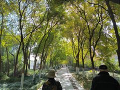 -南翠屏公园