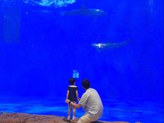 -华夏文旅海洋公园