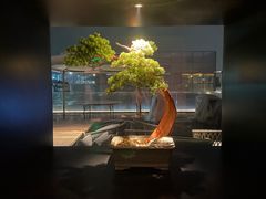 -晓长安·新陕菜(曲江店)