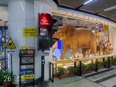 -正佳自然科学博物馆