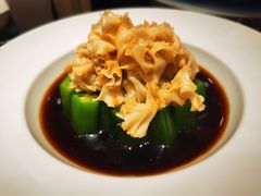 捞汁秋葵绣球菌-阿庄新豫菜(航海东路店)